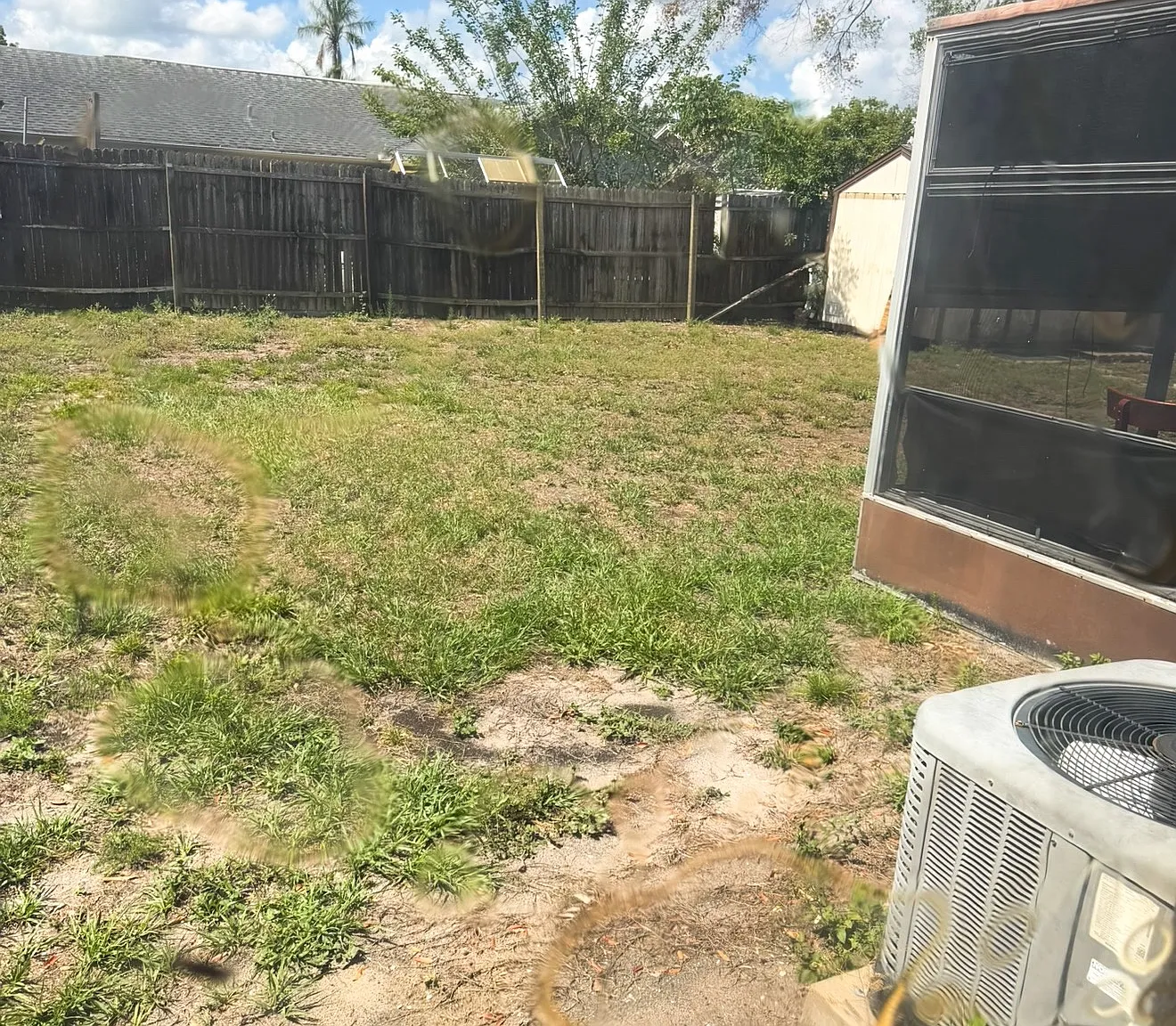 2 bed, 806 sqft, $1,750 — Photo 4