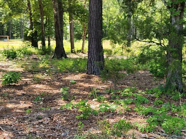TRACT 6 Ragon Rd, Harleton, TX 75651