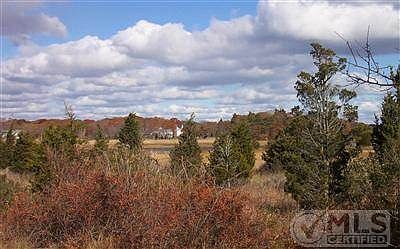 View from back of house from family room of Centerville River