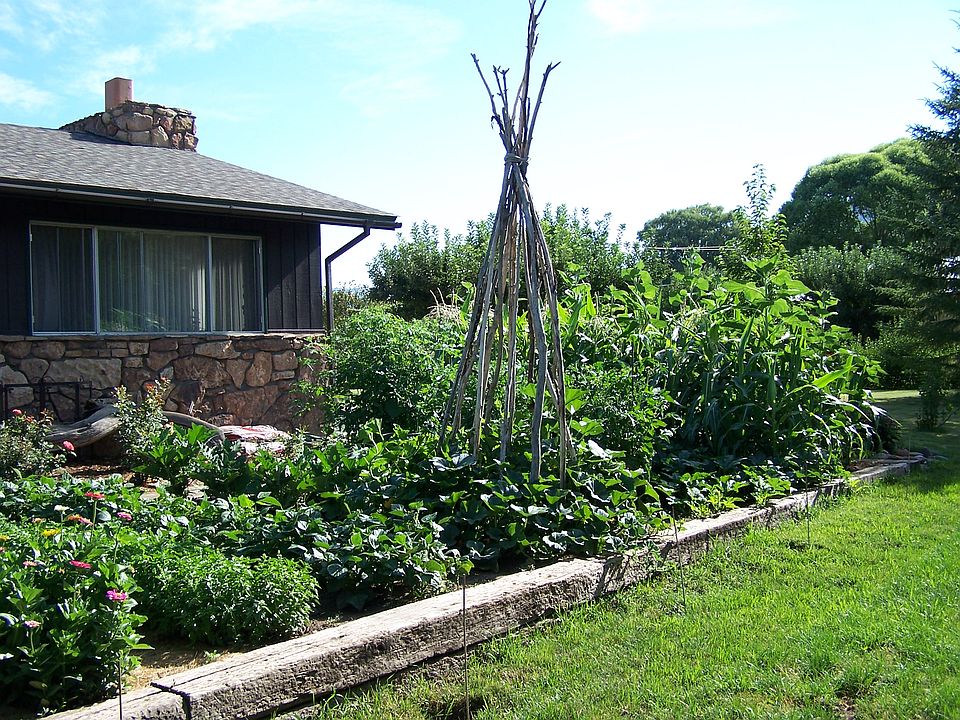 Vegetable garden.