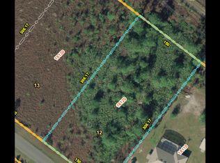 19811 WEMBLEY Avenue, Orlando, FL 32833