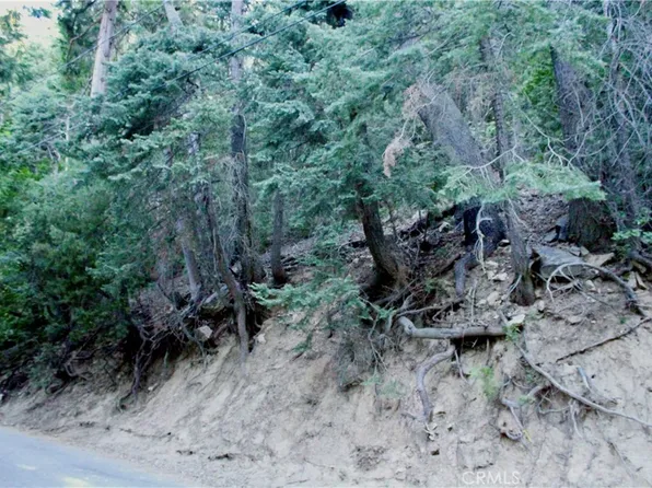 0 Community Dr #1421, Lake Arrowhead, CA 92352