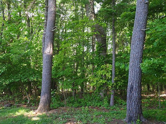 5th image of Tbd Chinquapin Trl