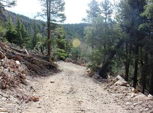 4-1 Lamertine Road LOT 13785, Idaho Springs, CO 80452
