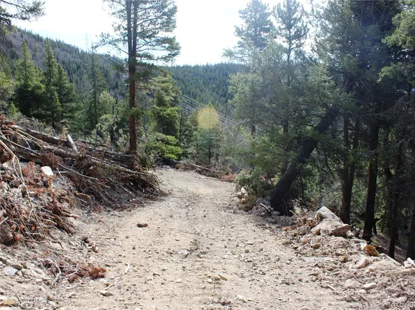 4-1 Lamertine Road LOT 13785, Idaho Springs, CO 80452