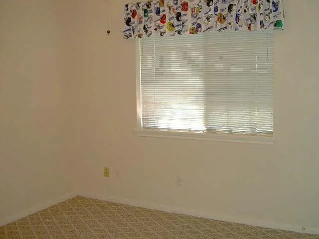 4542 Springfield Lakes St — Photo 13