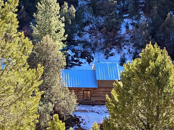 1987 Coyote Run, Cotopaxi, CO 81223