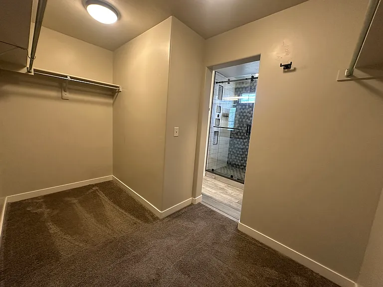 Primary Closet