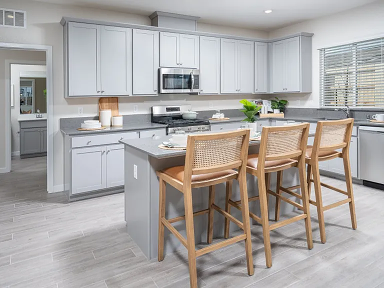 Model Home Kitchen (not actual house)