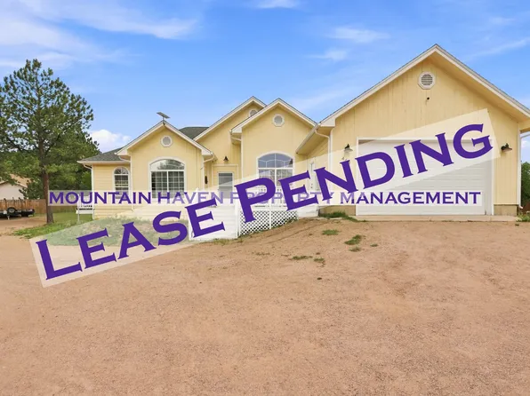 463 Rising Sun Rd, Bailey, CO 80421