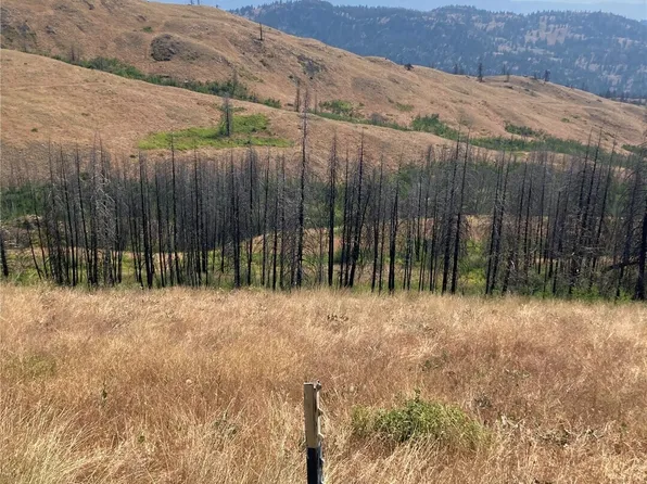 1111 Bottom Road, Tonasket, WA 98855