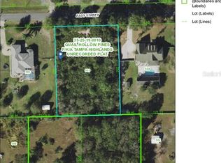 2670X Easy St, Wesley Chapel, FL 33544