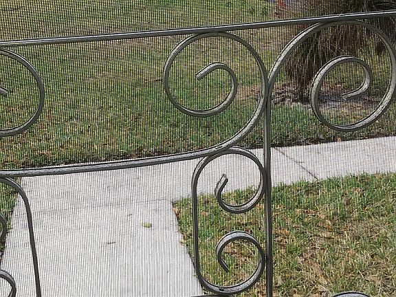 View from Front Porch