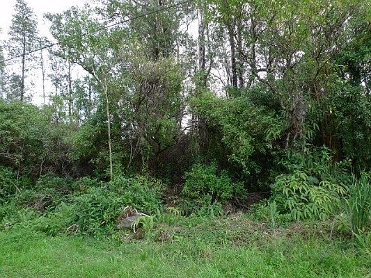 5th image of Kiele St Lot 16