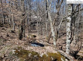 138 W Pond Creek Rd, Banner Elk, NC 28604