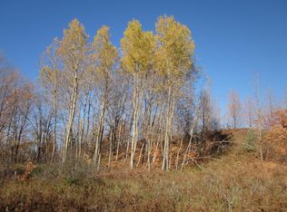 Shann Rd, Wolverine, MI 49799