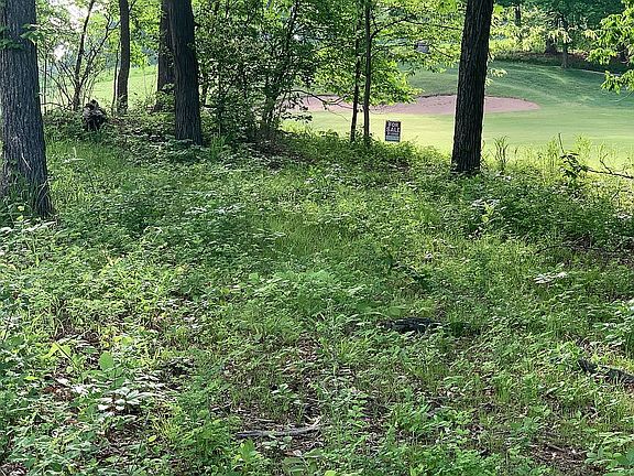 view from middle of lot