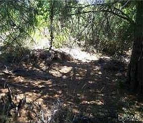 2nd image of 3640 Pine Terrace Dr