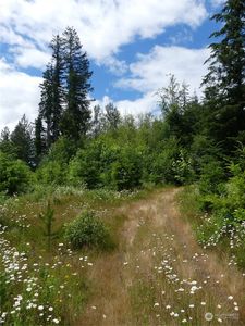 0 Spencer Road, Salkum, WA, 98582