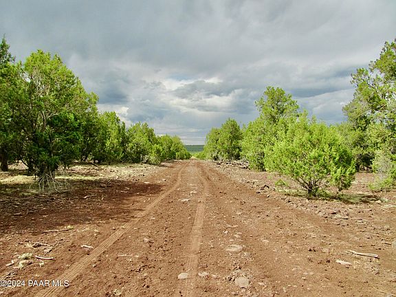 5th image of 11189 Huckleberry Rd