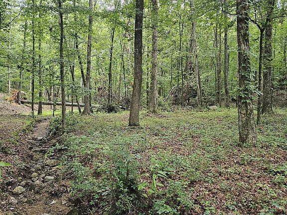 5th image of 0 Pineywood Dr