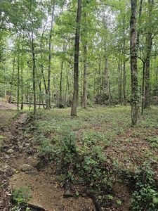 0 Pineywood Dr, Ringgold, GA, 30736