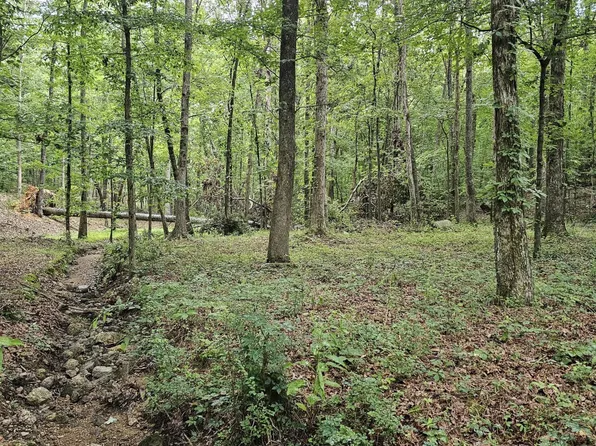 0 Pineywood Dr, Ringgold, GA 30736