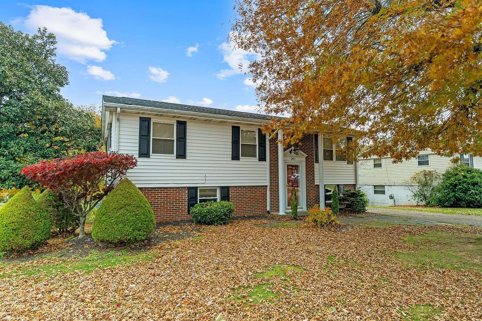 201 Nedra Dr photo 1