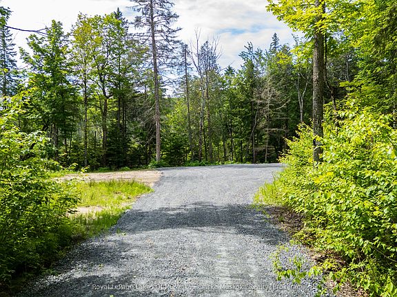 4th image of 344 N Fox Lake Rd