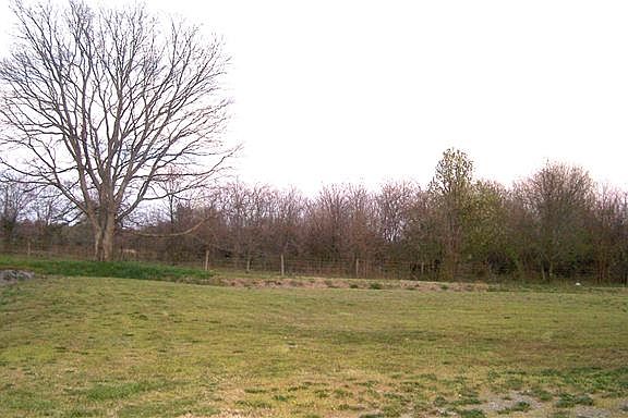 5th image of 121 Pebble Brook Dr