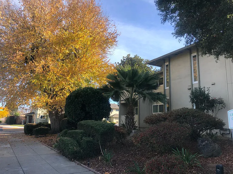 Blossom Hill Garden Apartments — Photo 19