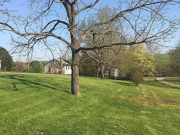 Back yard 