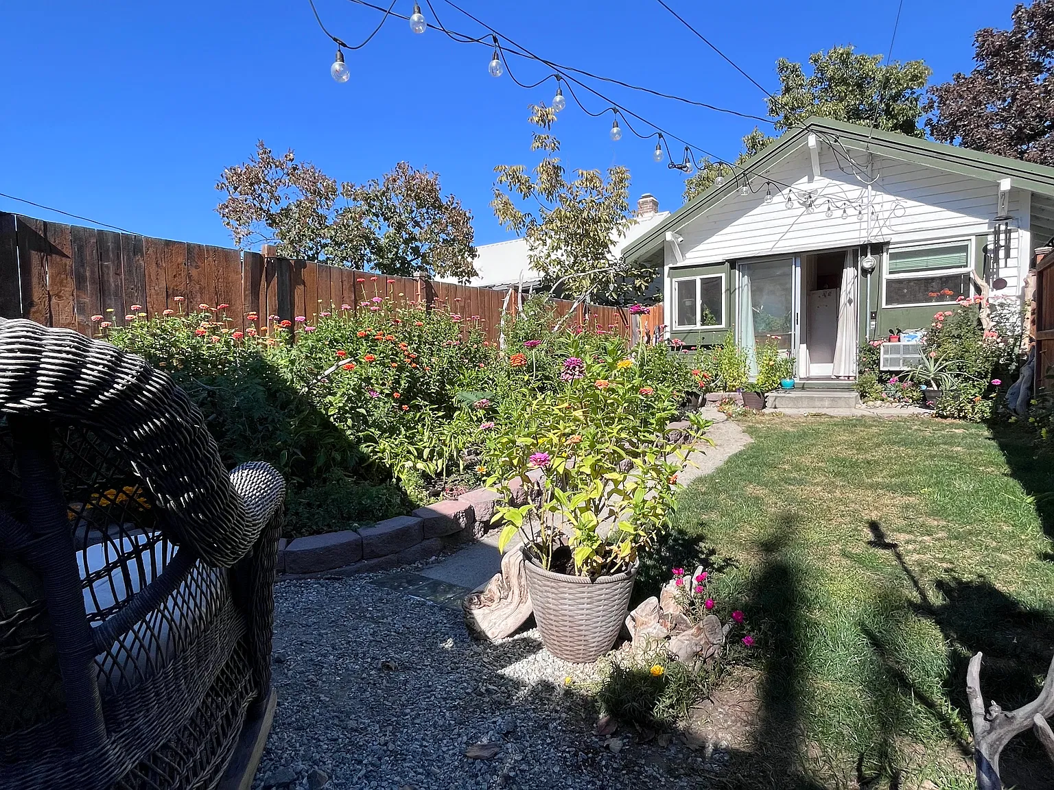 1 bed, 1000 sqft, $1,595 — Photo 2