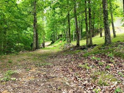 Colvin Springs Rd #6, Ashville, AL, 35953