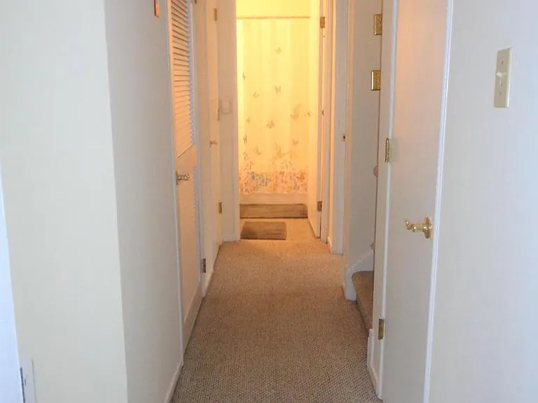553 Doloro Dr — Photo 4