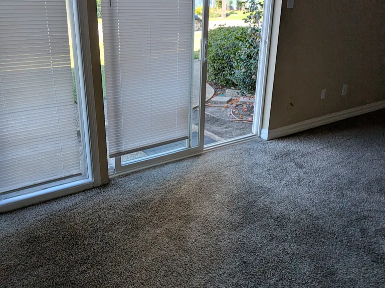 1161 Lake Ave #119 — Photo 10