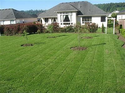 2nd image of 15303 148th Avenue Ct E