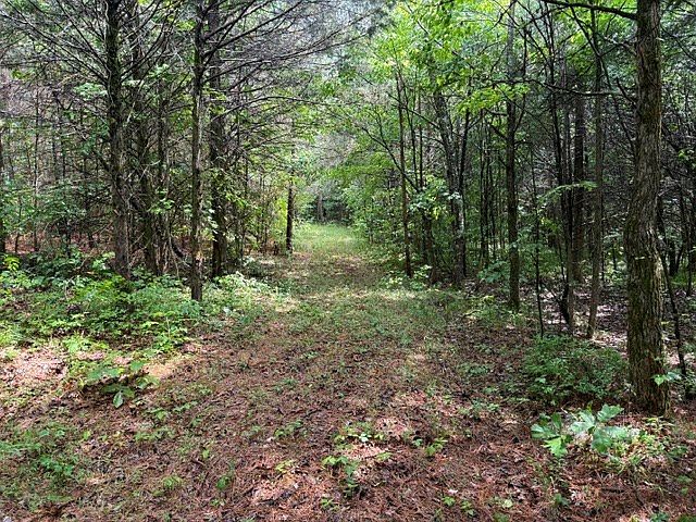 2nd image of 1 Freeze Rd