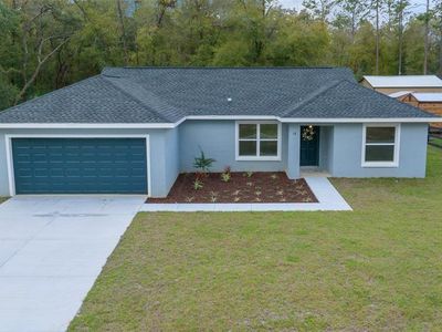 78 W Bimini Dr, Citrus Springs, FL, 34434