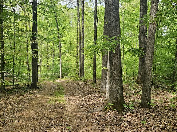 3rd image of 2225 Caney Branch Rd
