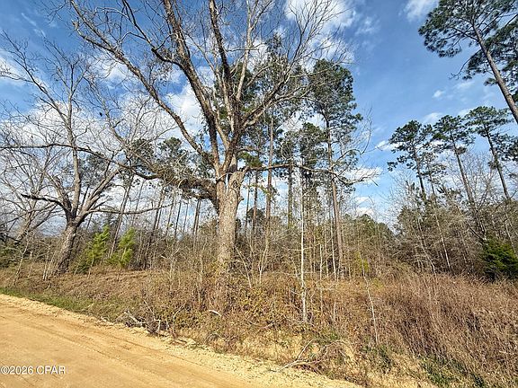 2nd image of 0 Palmview Rd