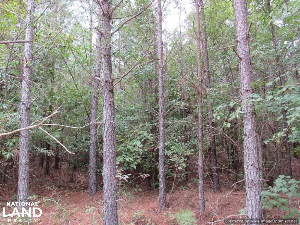 Alvastage Rd, Kilmichael, MS 39747 Zillow