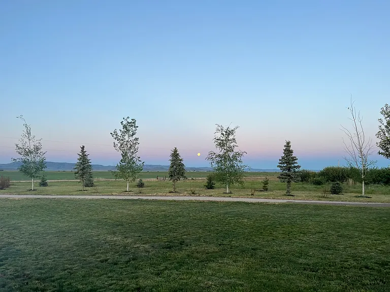View out the front window