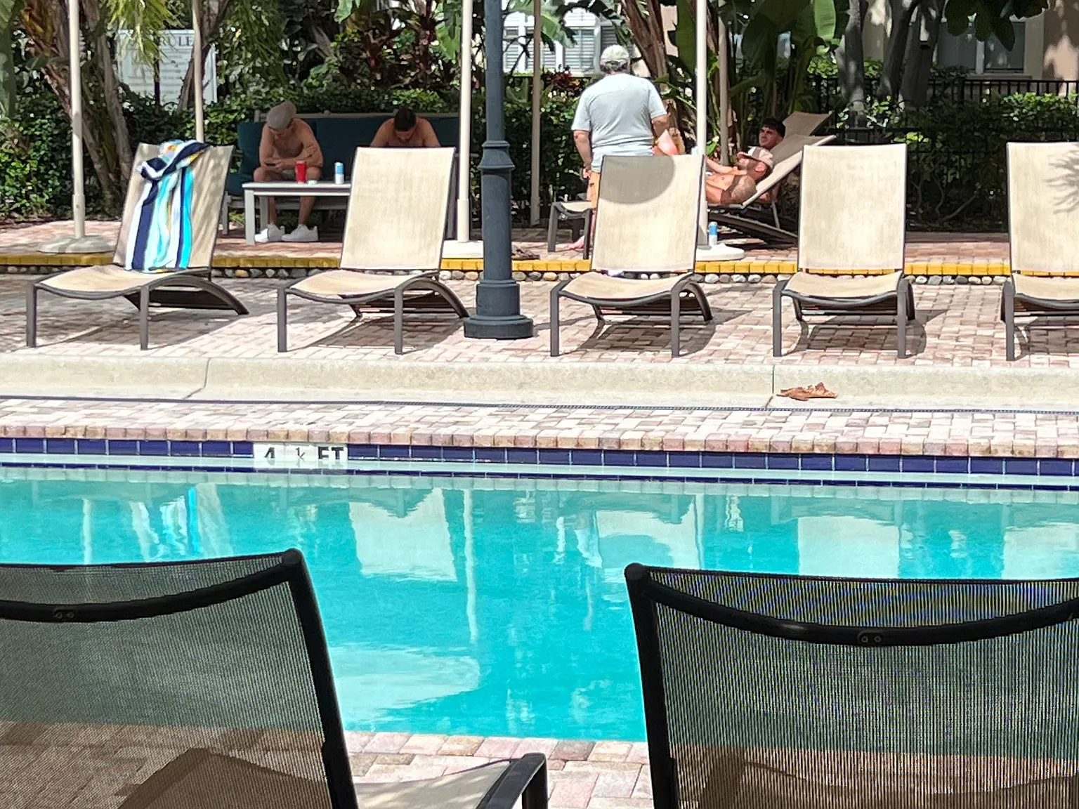 1 bed, 789 sqft, $1,770 — Photo 3