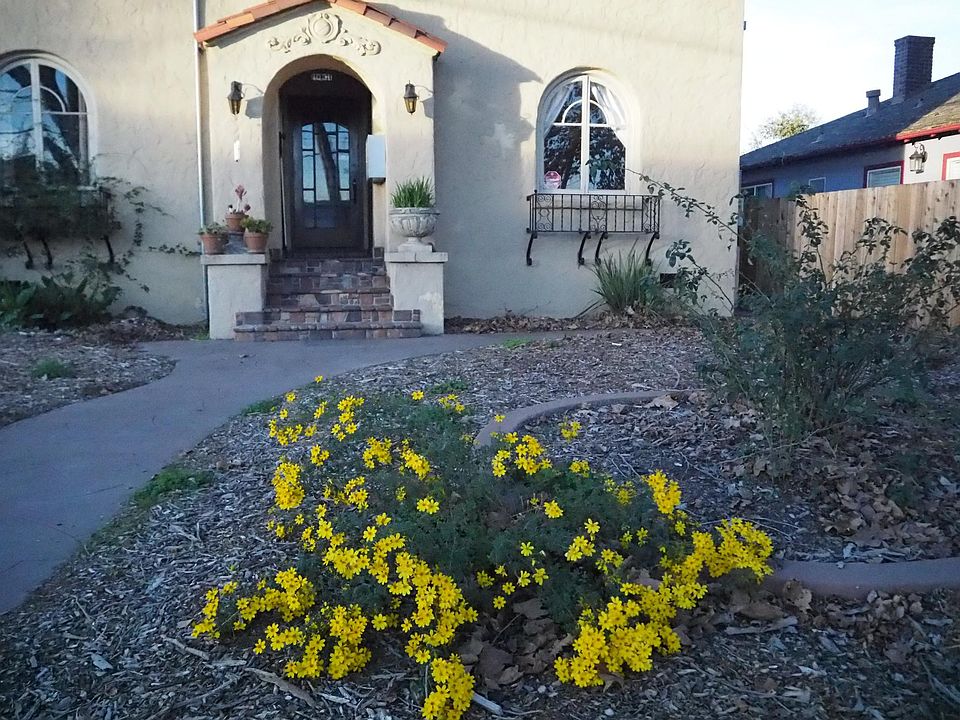 Street View of 1031 Park Ave.
