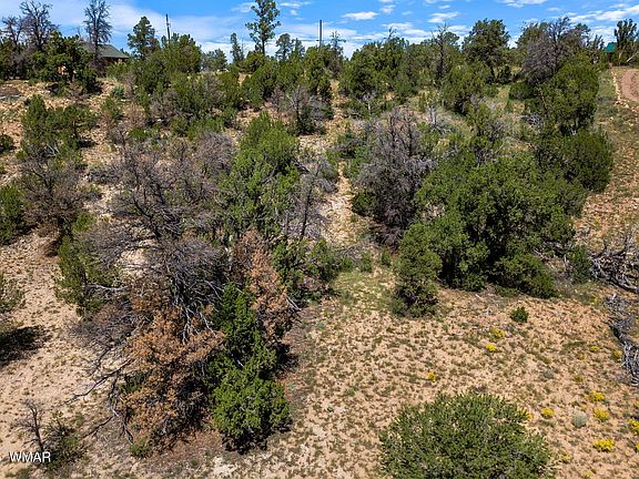 4th image of 3620 Zane Grey Trl
