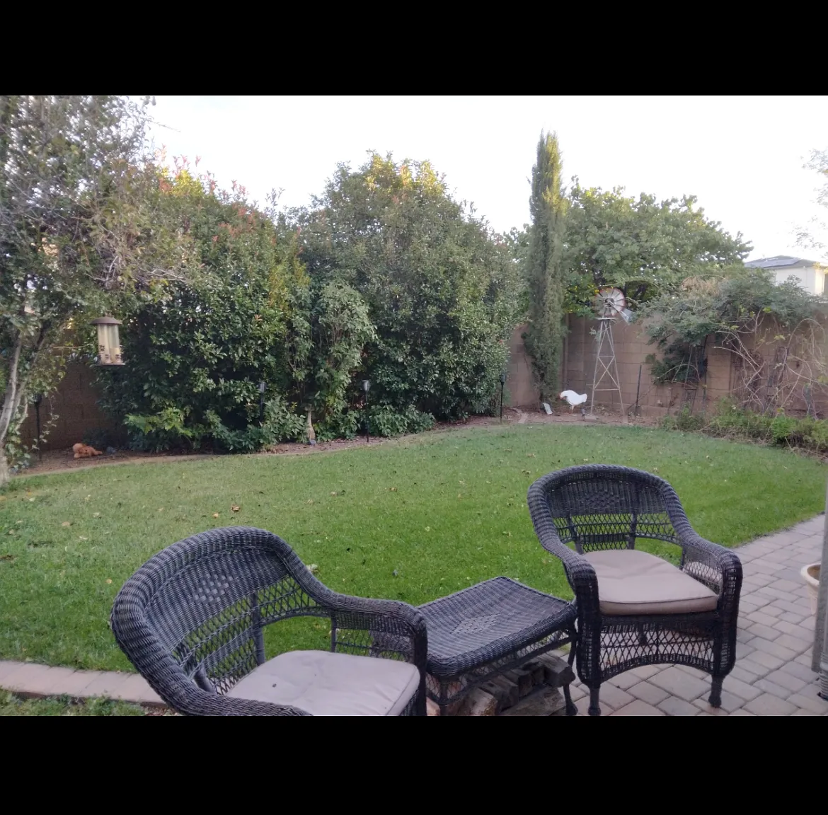1 bed, 2700 sqft, $795 — Photo 2