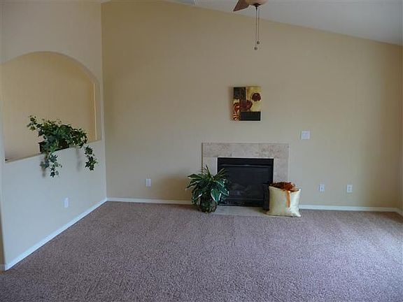 Living room and fireplace