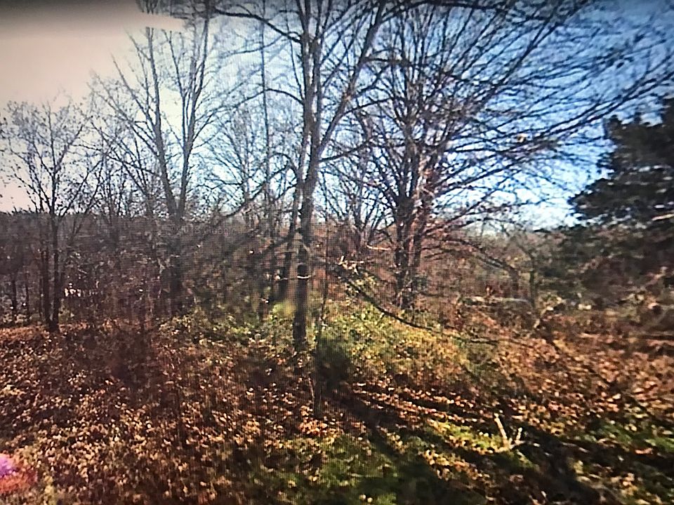 2nd image of Joy Loop