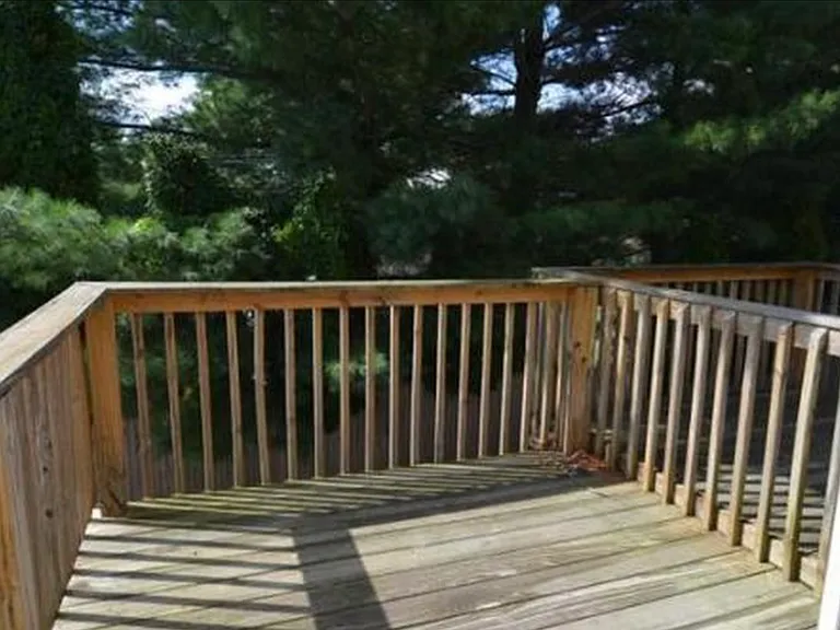 50 Sunflower Cir — Photo 19